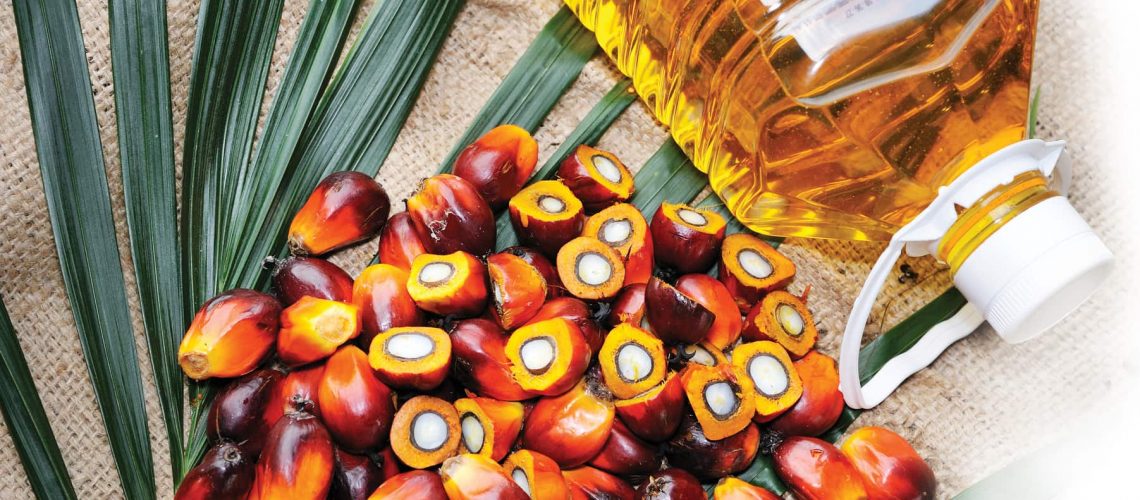 Warnings and Updates from Wim Van Hooydonk palm oil